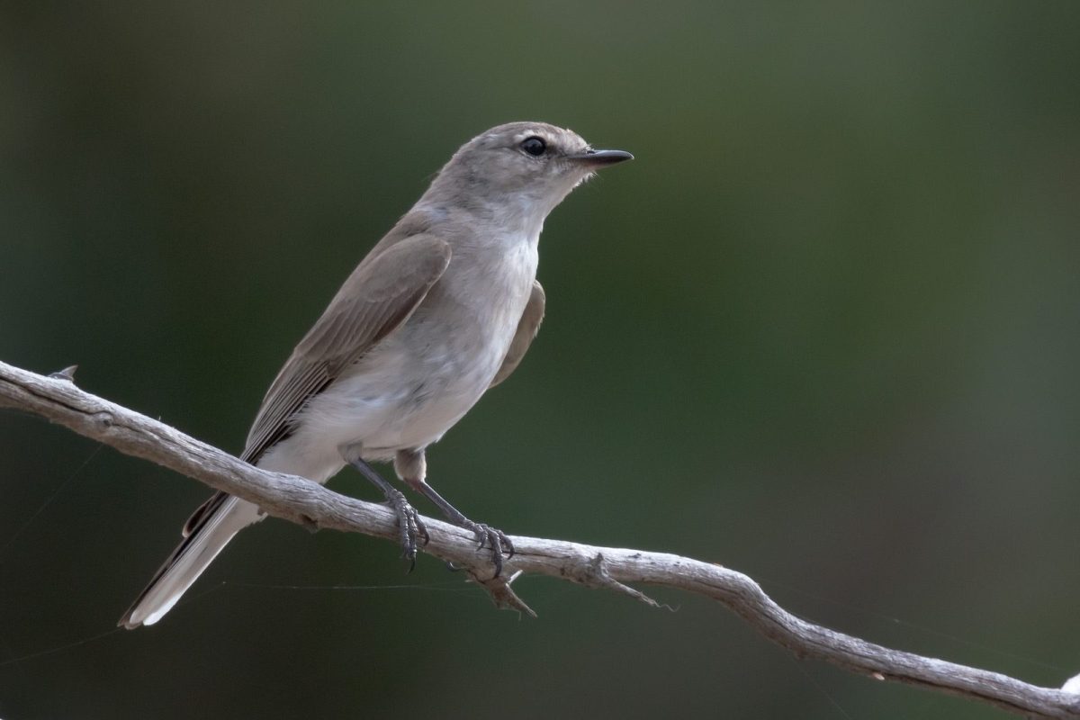 1612-29_dwj_3551_nx2bb