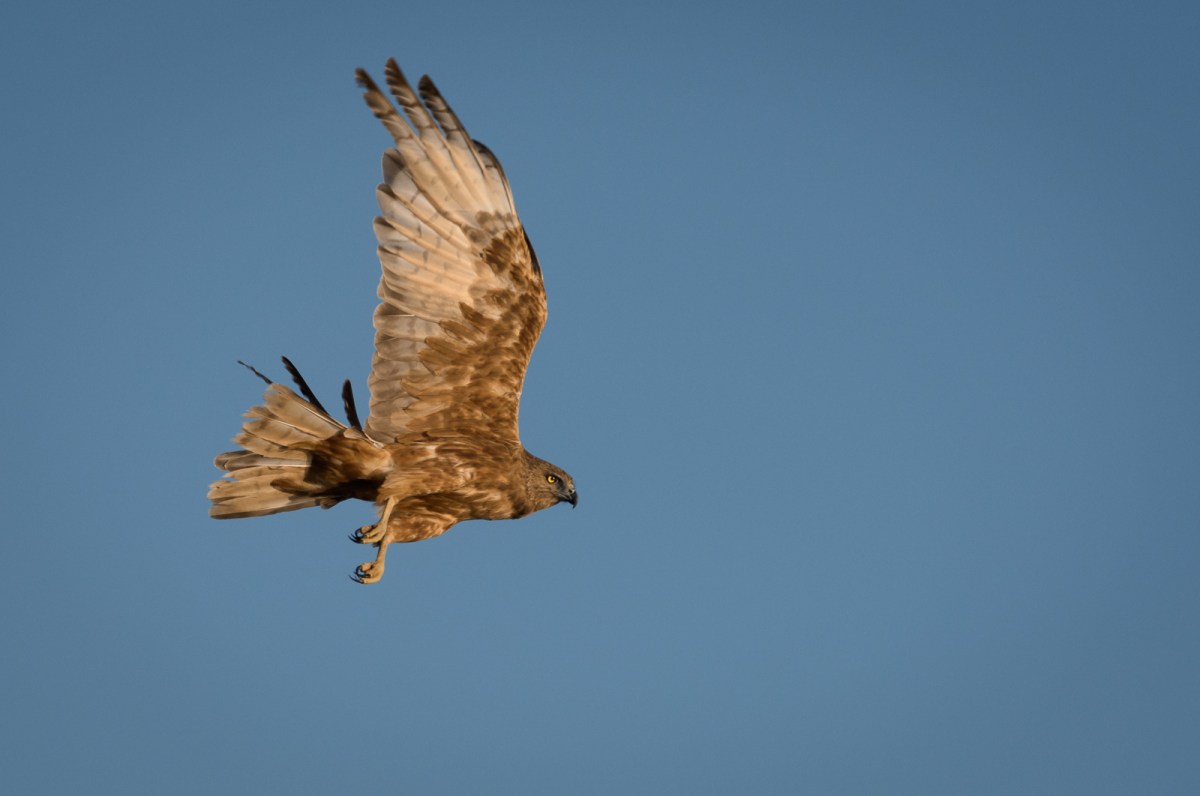 "That wasn't there before"