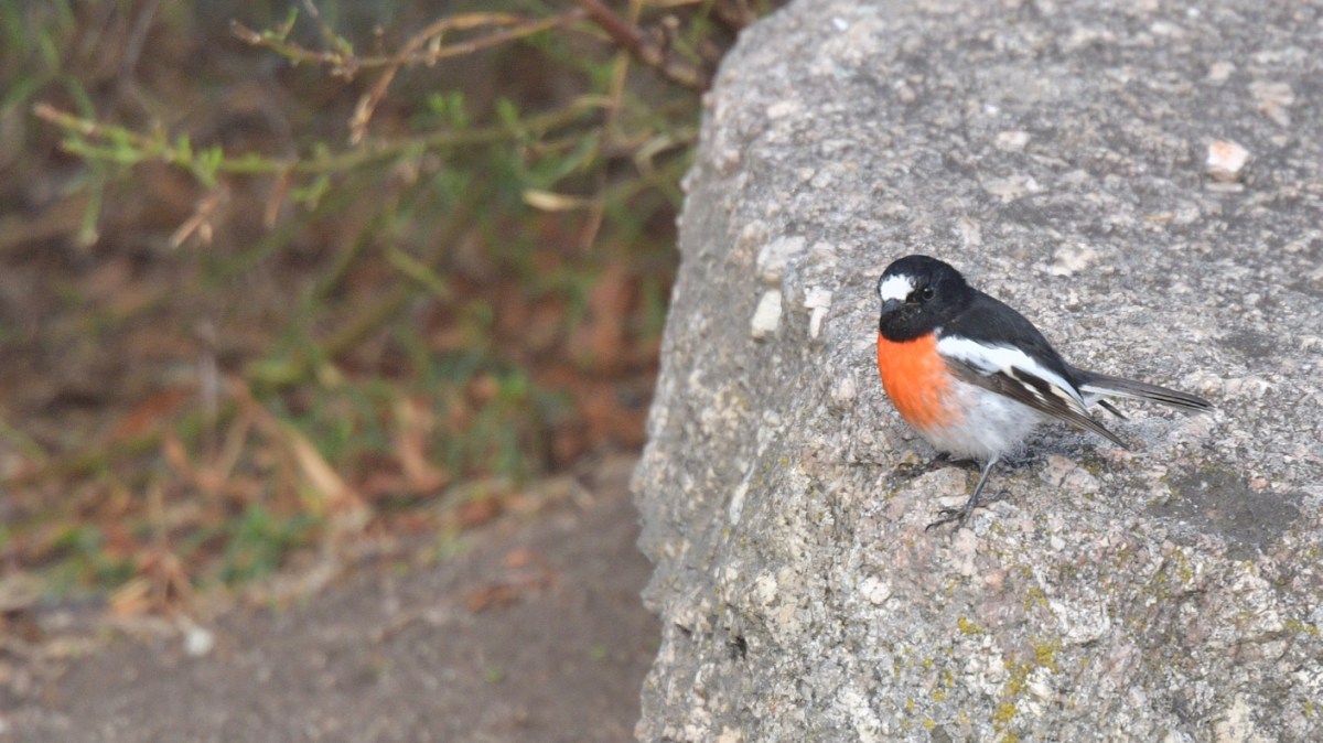 1804-19-DWJ_2320 (1).jpg