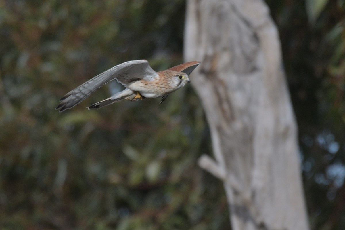 And back to a quiet perch