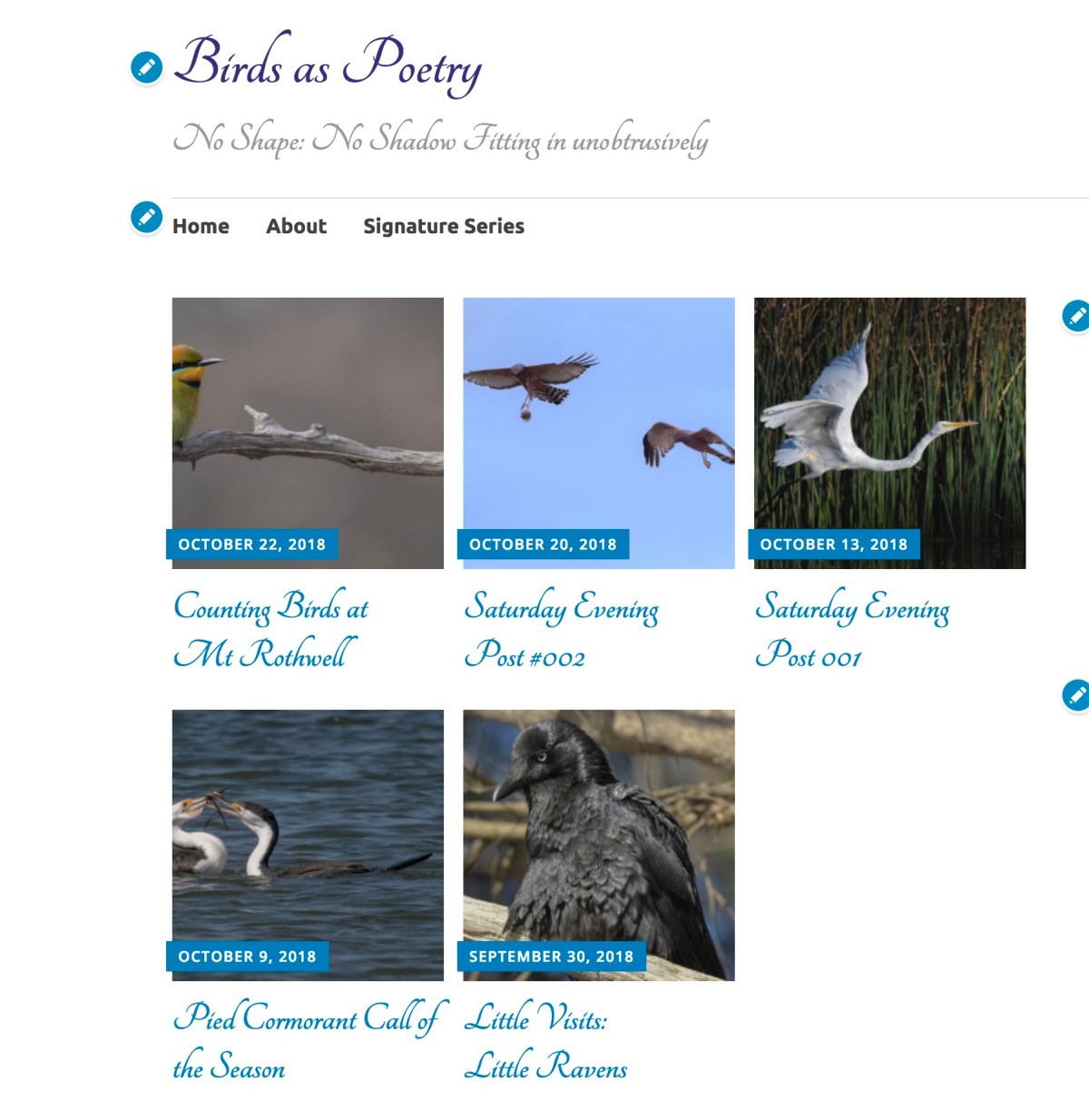 Screen Shot 2018-10-22 at 5.01.36 pm.jpg