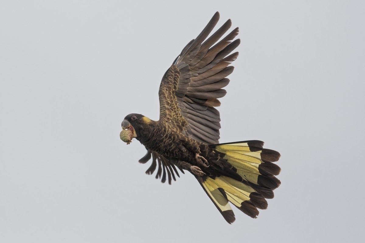 2003-04_DWJ_25446_DxO