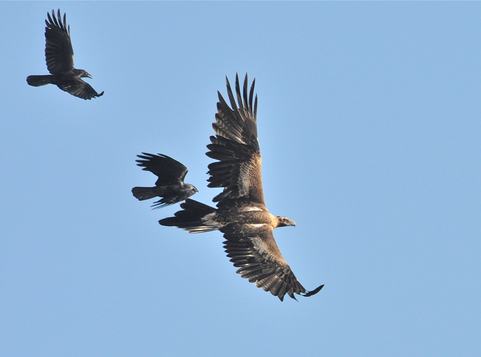 DWJ_1210_05_DSC_5019